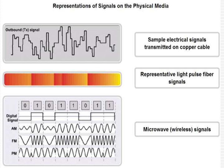 image-20250119233246932