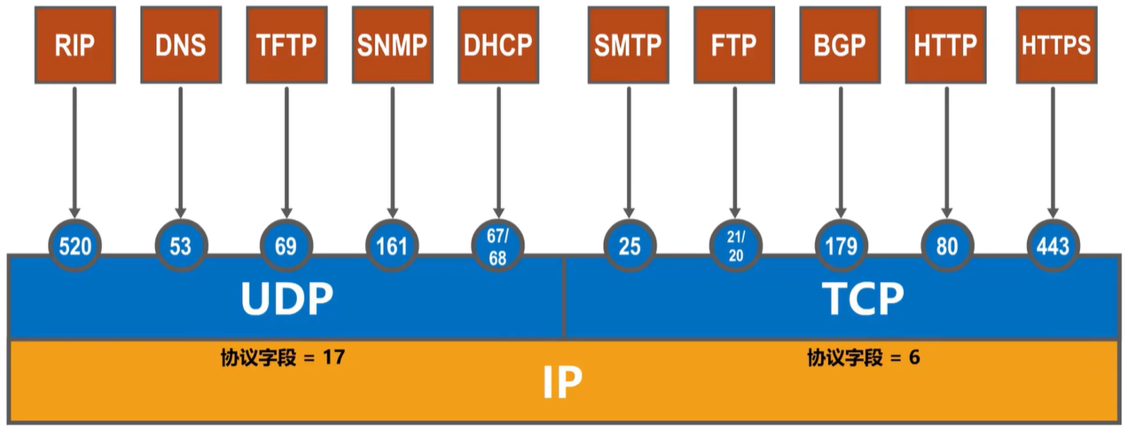 image-20250119232802231