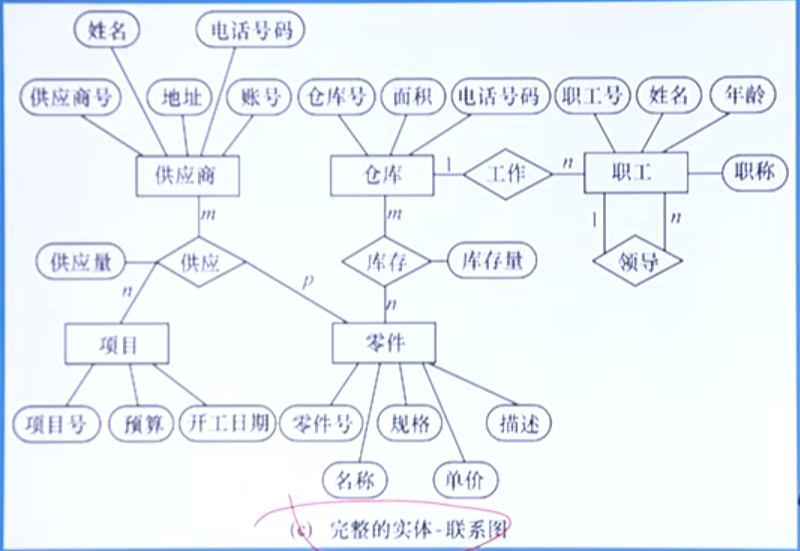 image-20250119202914643