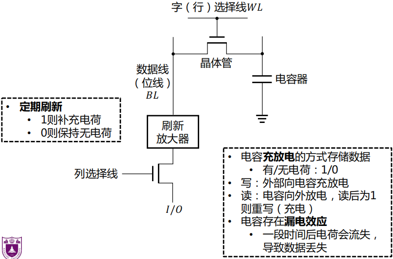 image-20250119220215742