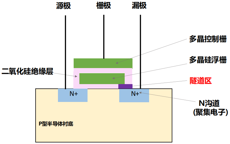 image-20250119220243000