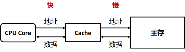 image-20250119220444350