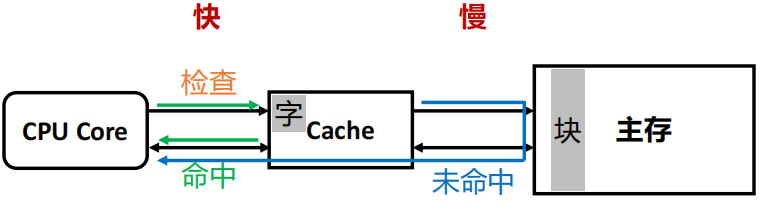 image-20250119220452157