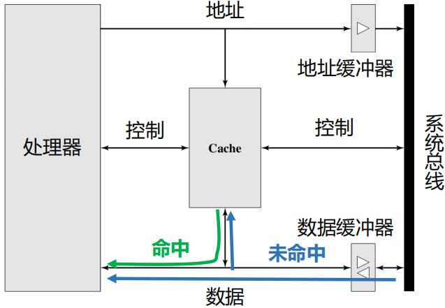 image-20250119220505017