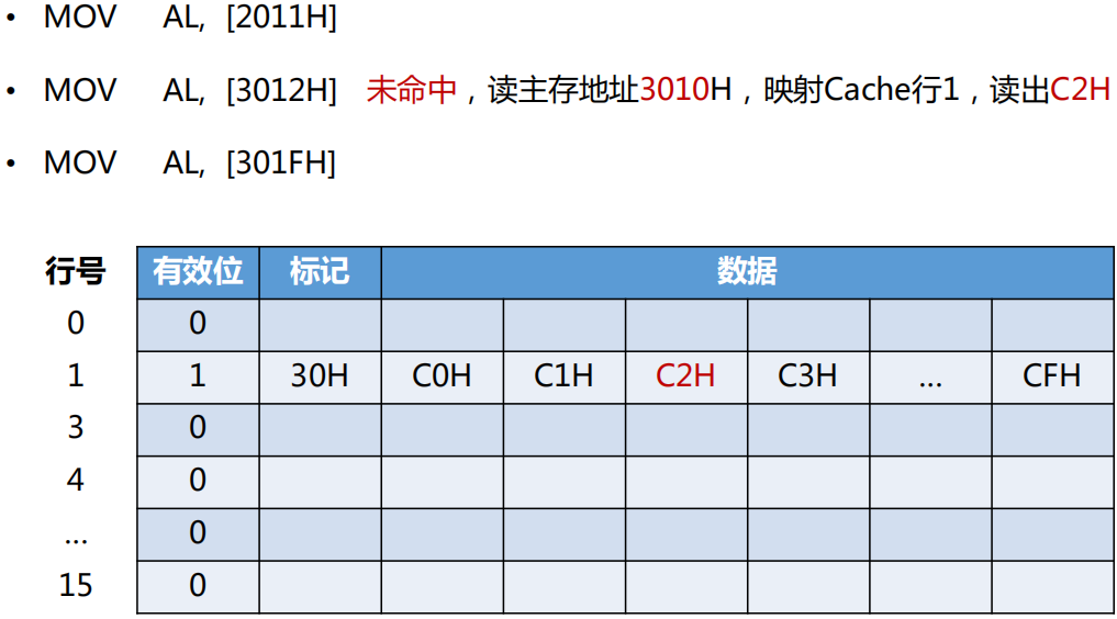 image-20250119220554898