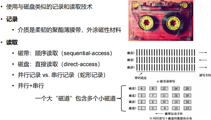 image-20250119220951836
