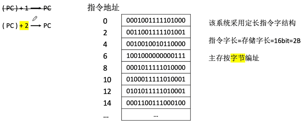 image-20250119222138028