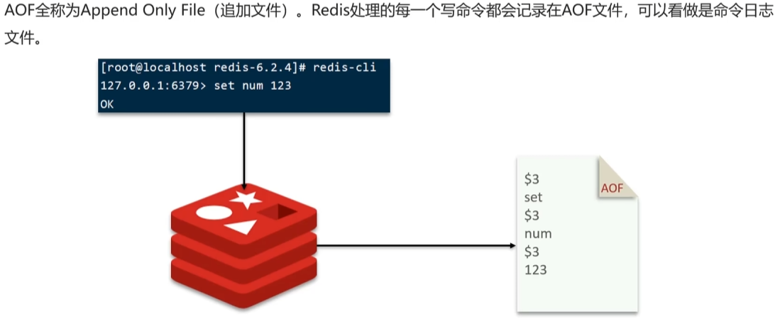 image-20250315160328612