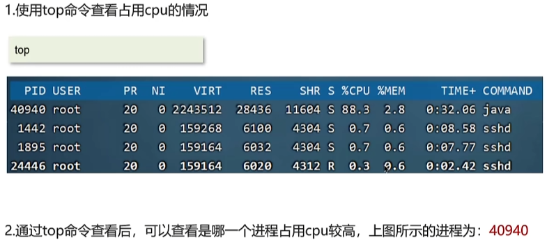 image-20250319164529825