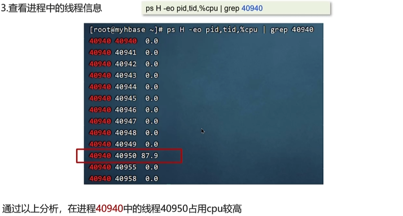 image-20250319164609293